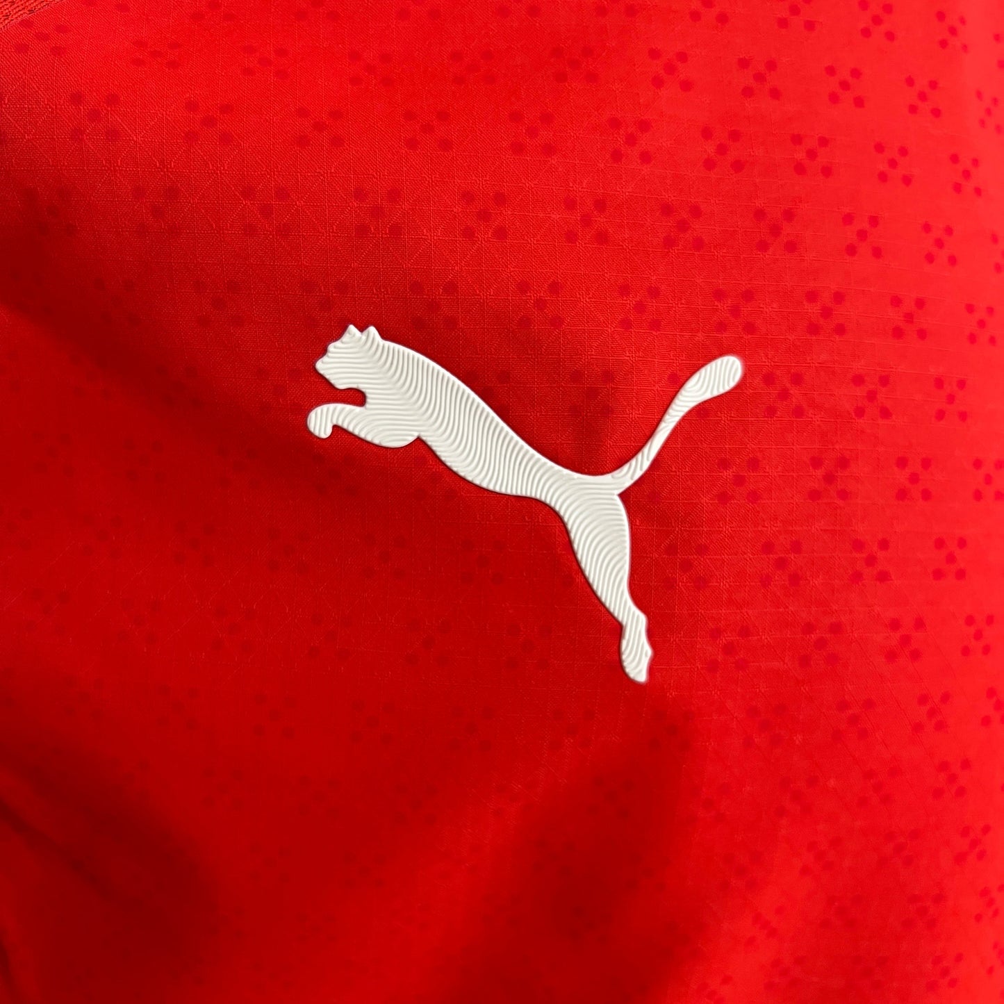 Trikot Portugal 25/26 Spieler Heim