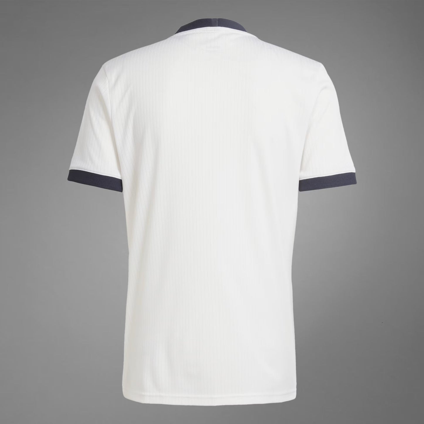 Trikot Deutschland 2026 Training World Cup