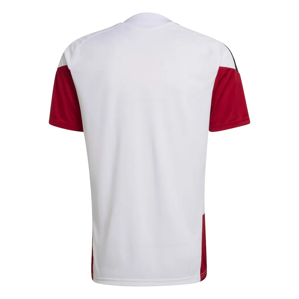 Trikot Deutschland 2026 Training World Cup