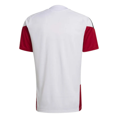 Trikot Deutschland 2026 Training World Cup