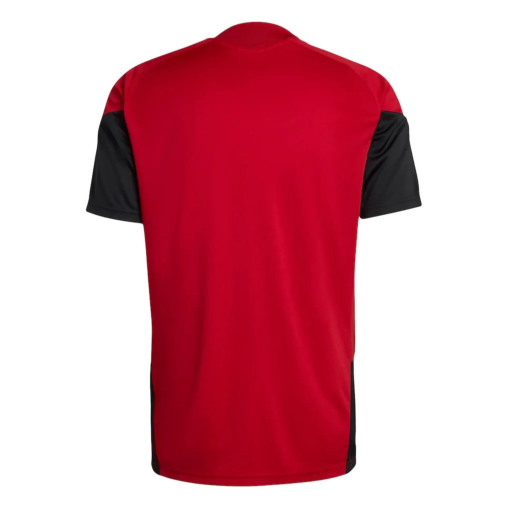 Trikot Deutschland 2026 Training World Cup