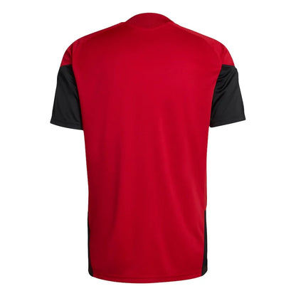Trikot Deutschland 2026 Training World Cup