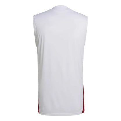 Trikot Deutschland 2026 Training World Cup