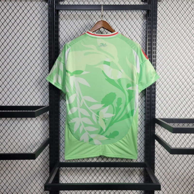 Trikot Italien 25/26 - Grün
