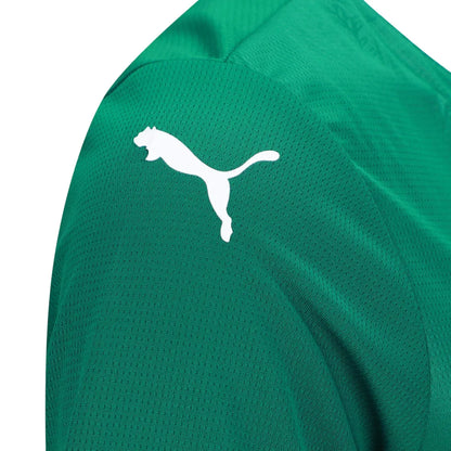 Trikot Palmeiras Damen Home 25/26 – Grün