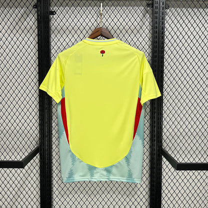 Spanien Trikot II - 24/25