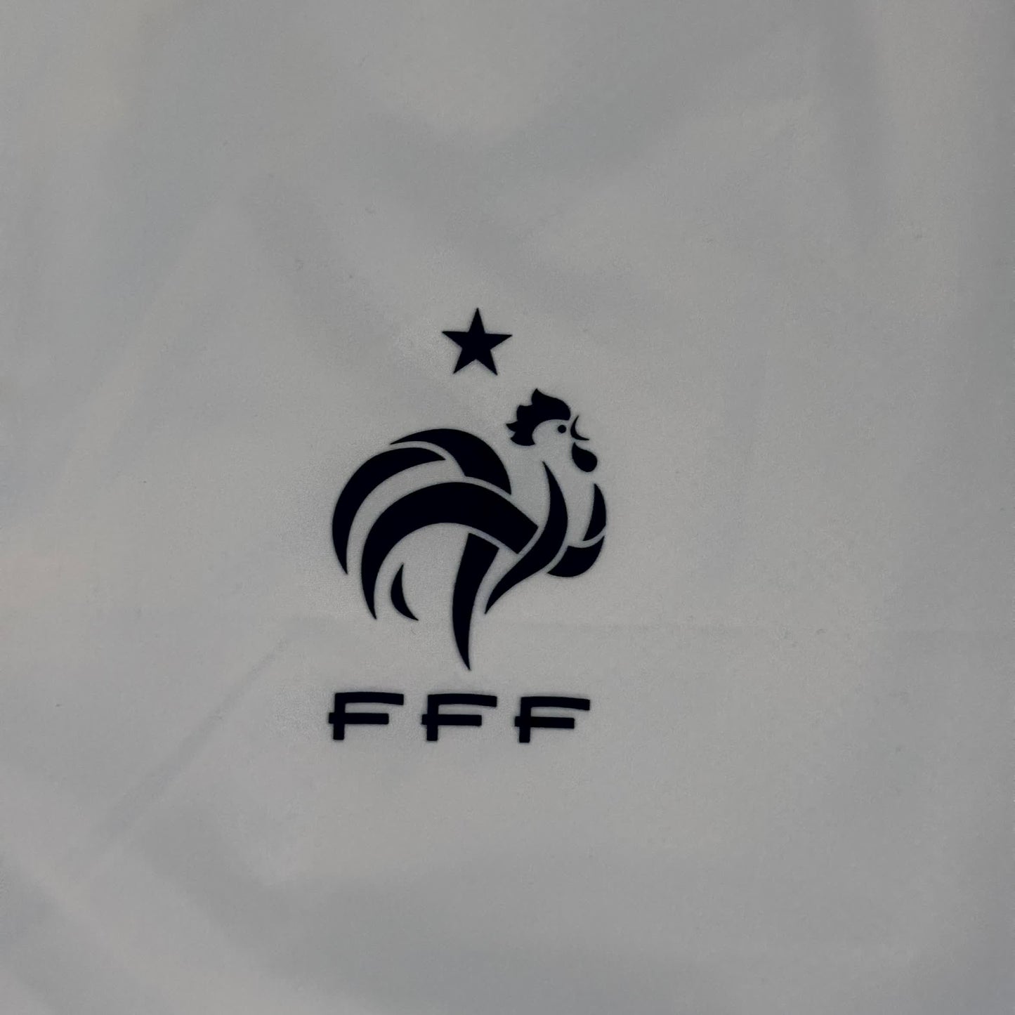 Nike x Frankreich Vintage Jacke 2010